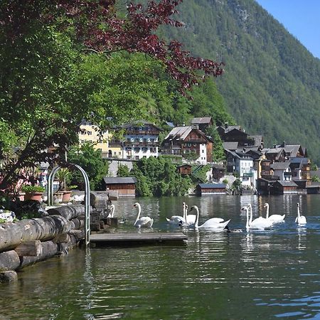 Gasthof Simony Hallstatt B&B Buitenkant foto